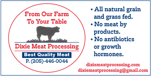 Dixie Meat Processing LLC